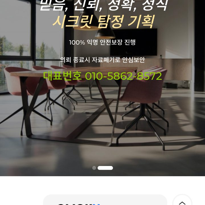 시크릿 탐정기획