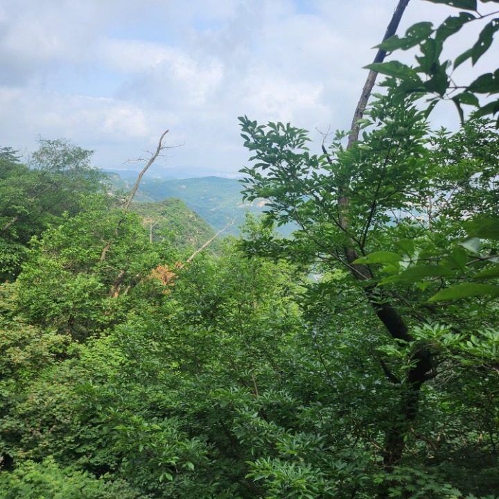 과외