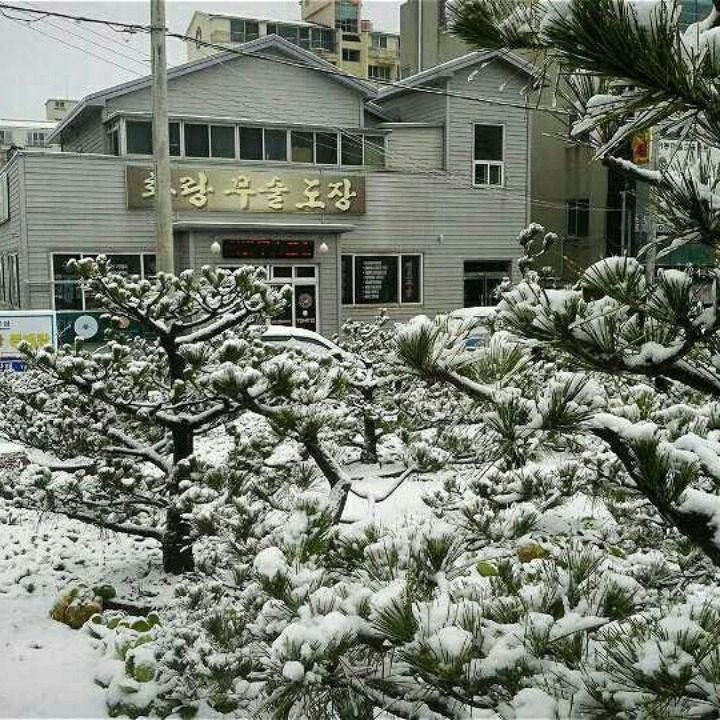 국술합기도특공무술화랑무술도장