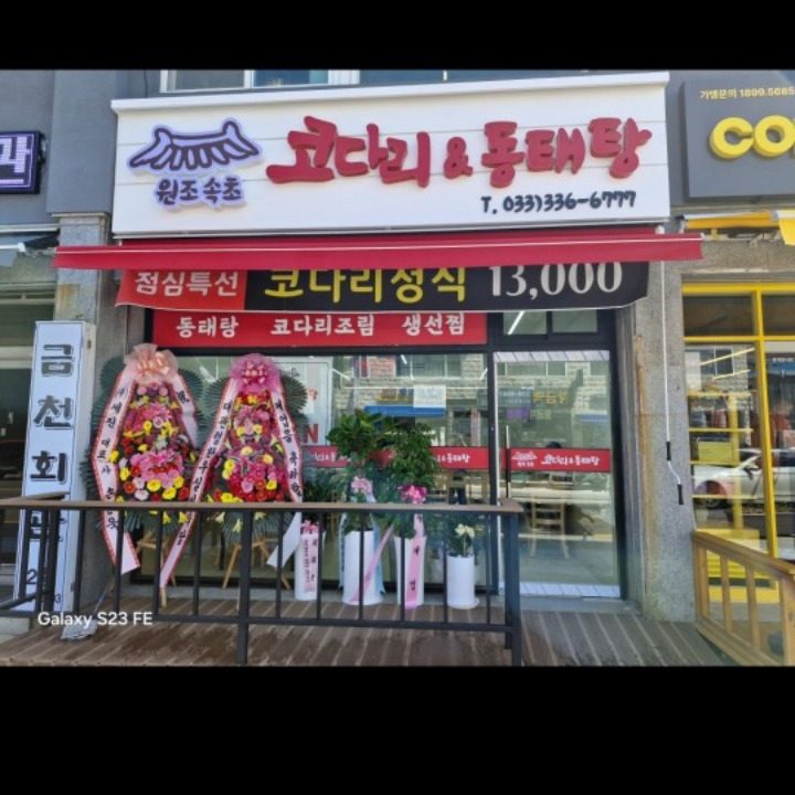 원조속초코다리동태탕