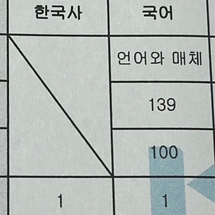 수능만점 국어과외