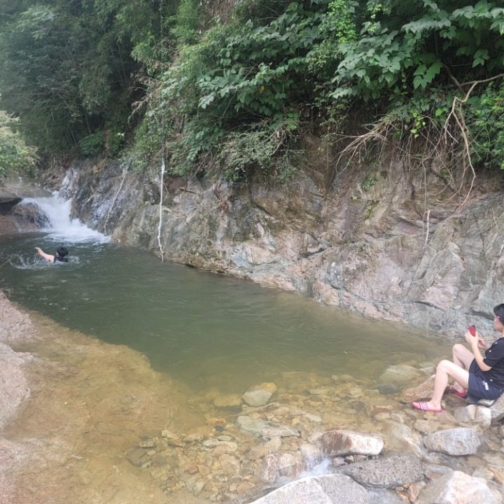 채리네민박