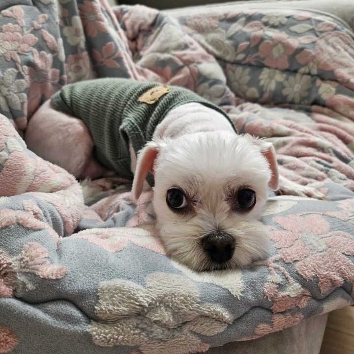 라이더스
