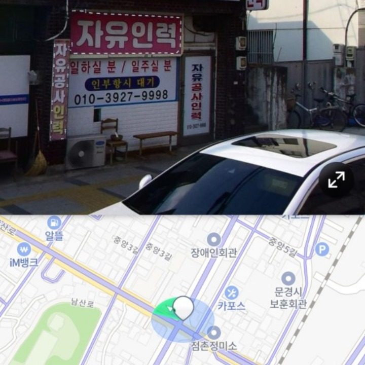 자유인력