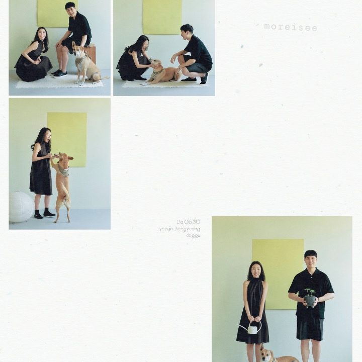 모레시 스튜디오