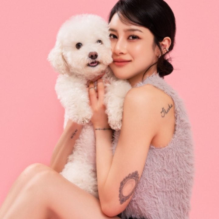 다지 스튜디오