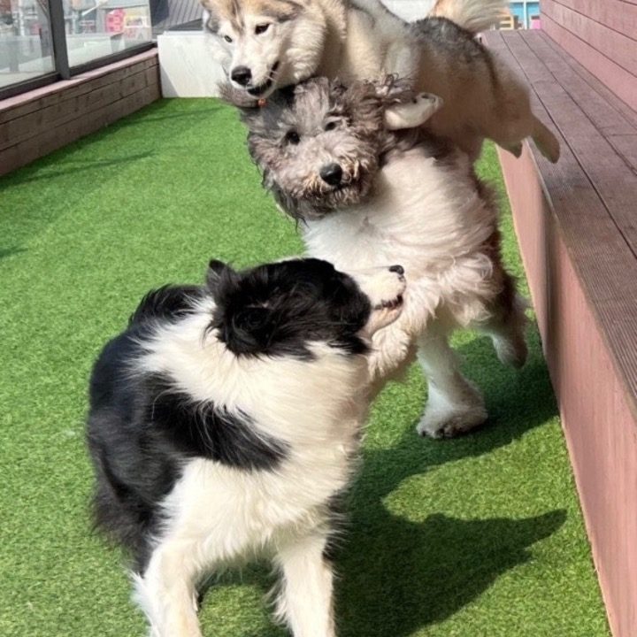 행독