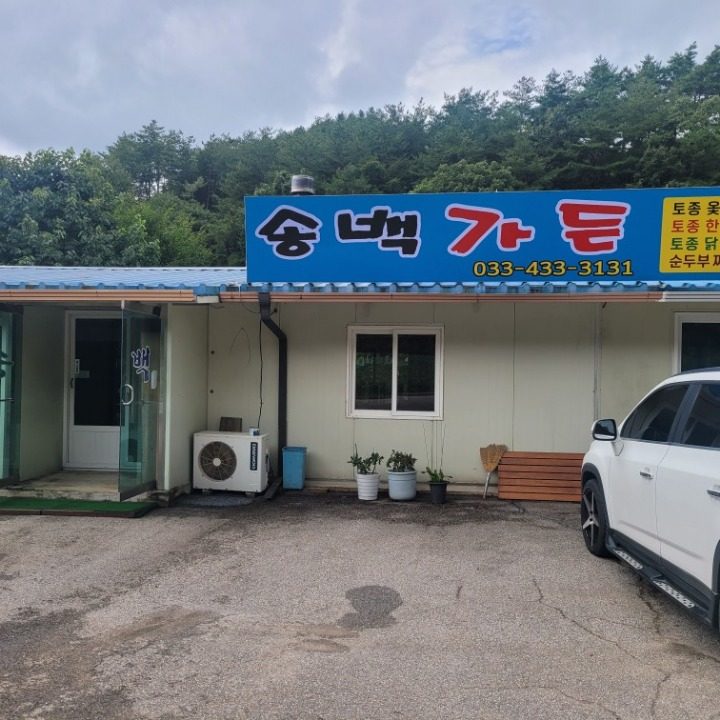 송백