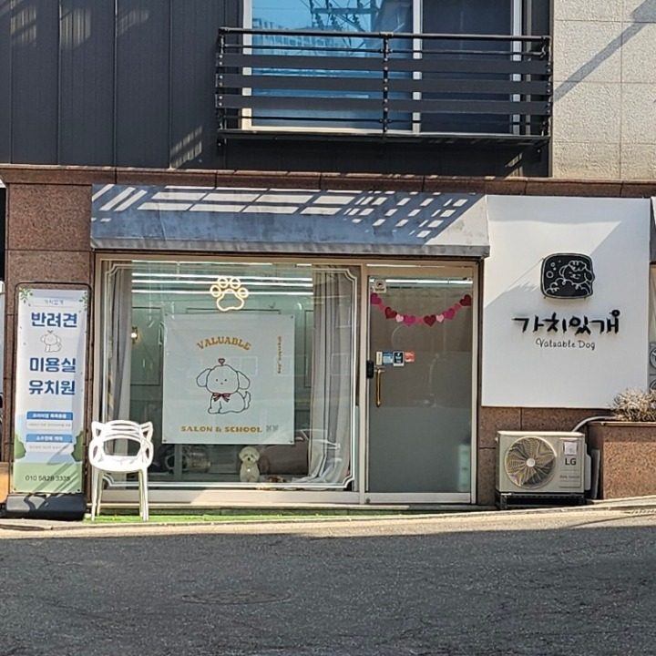 가치있개