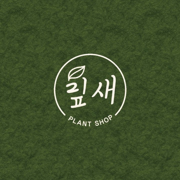 맆새Leaf