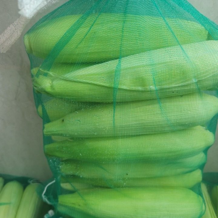 치킨
