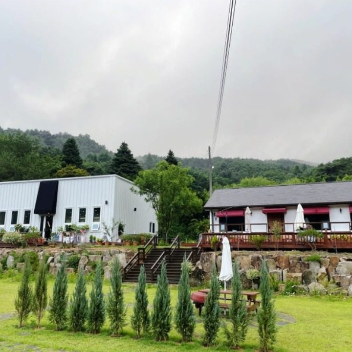 마당덕