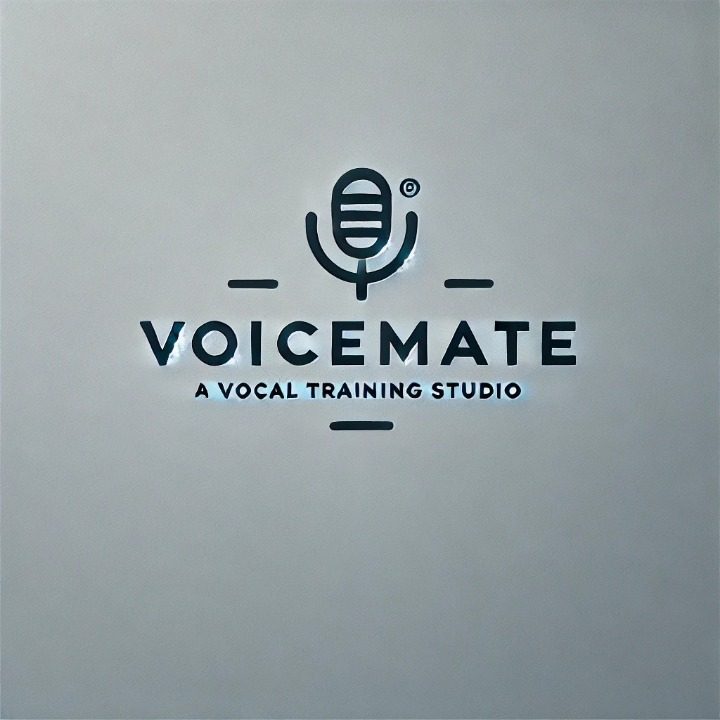 Voice-Mate