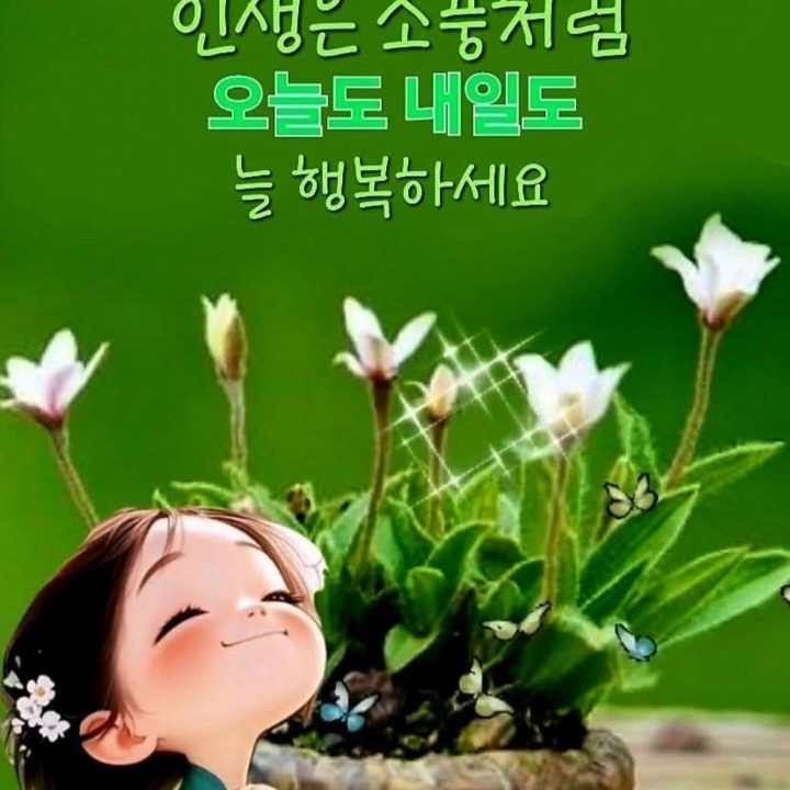 happy haom
