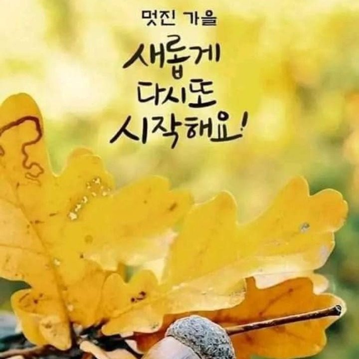 초등학생 수학과외