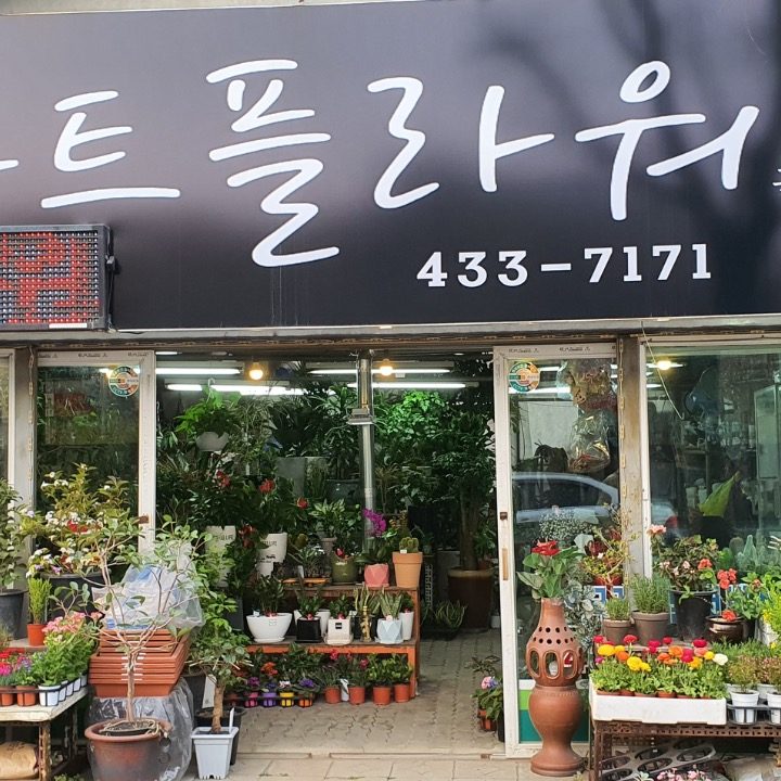 아트플라워
