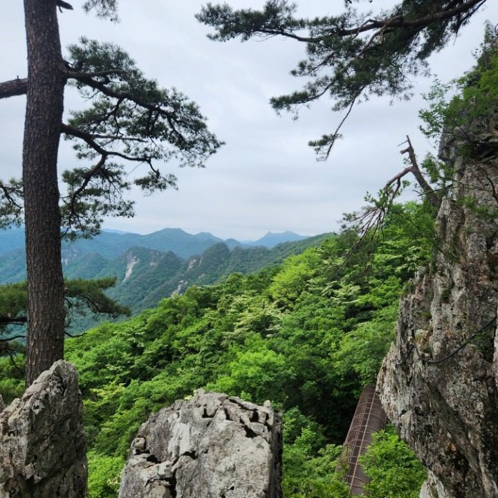 낭만고객