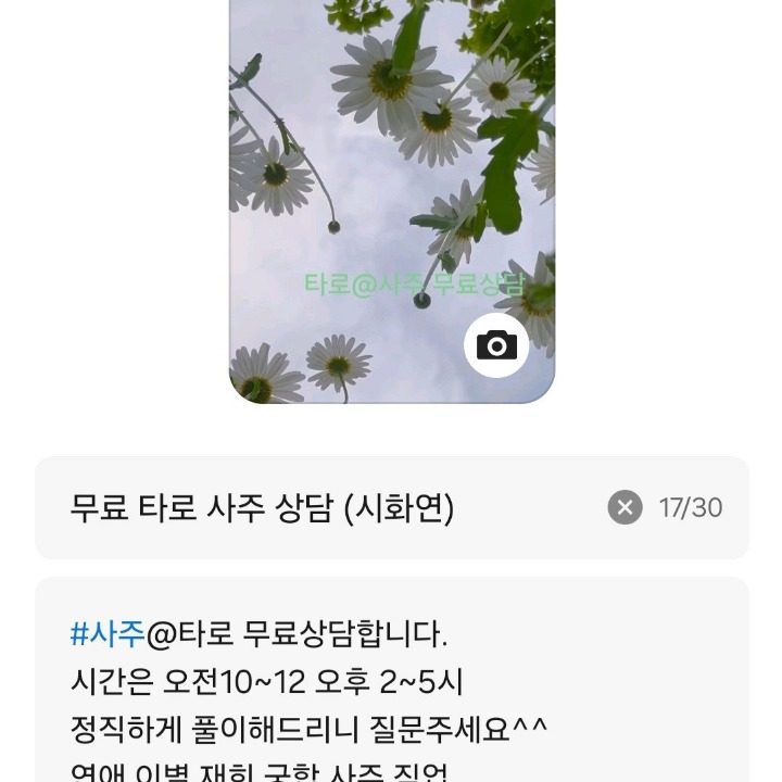 무료타로사주상담