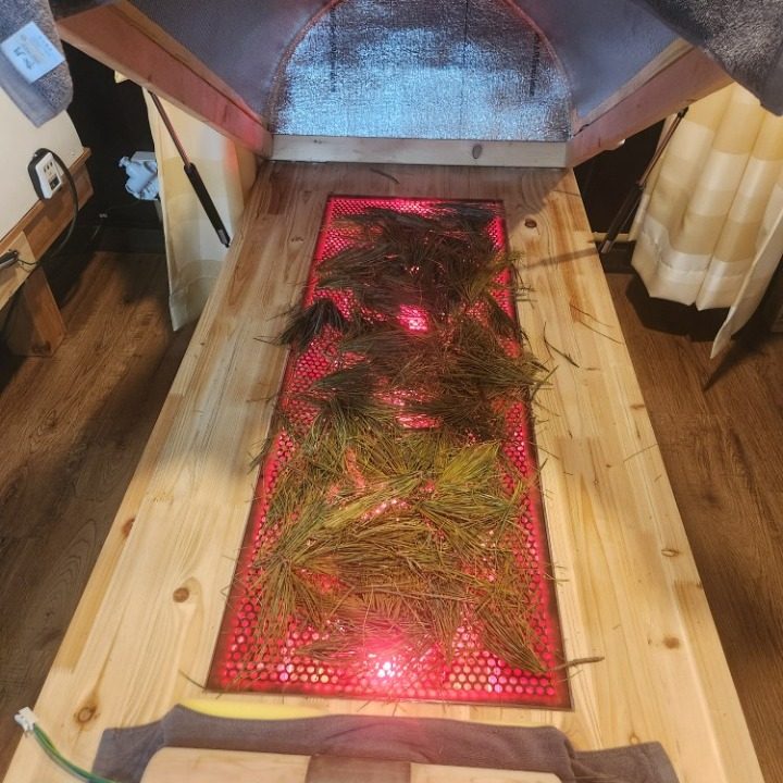 수가솔방