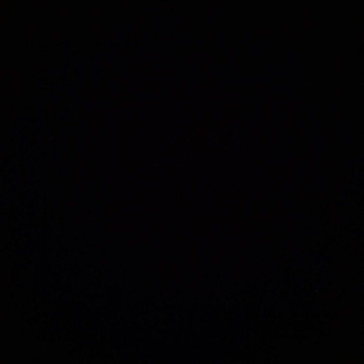 코디네상점