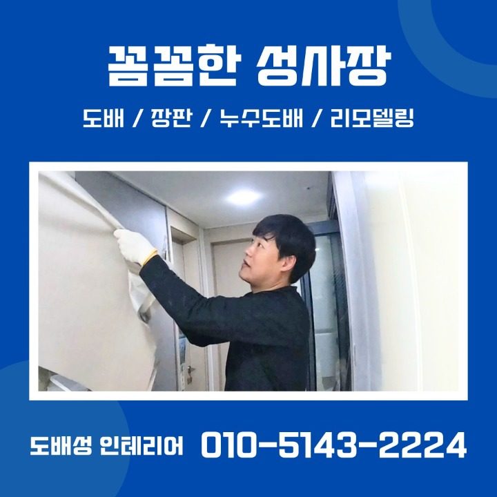 도배성 인테리어