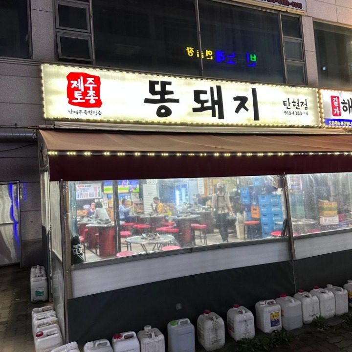 제주토종똥돼지