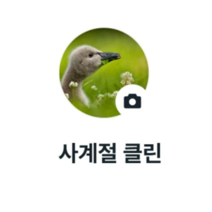 사계절크린