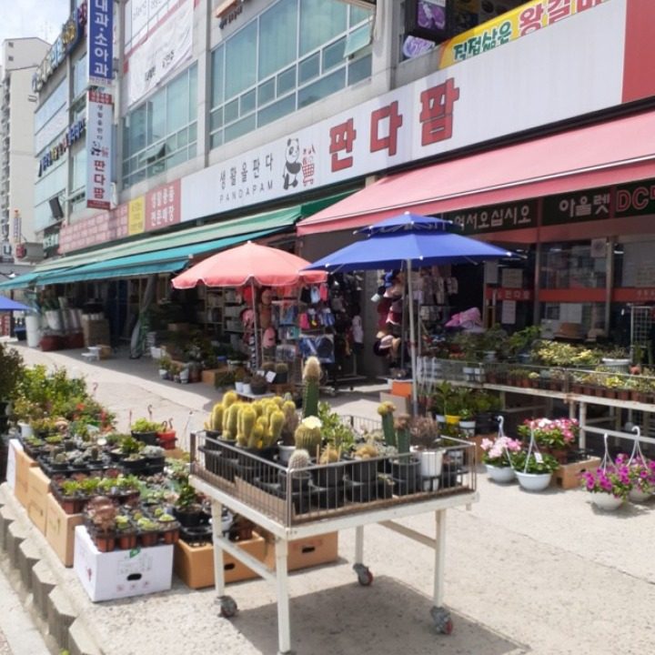 판다팜퇴계원점