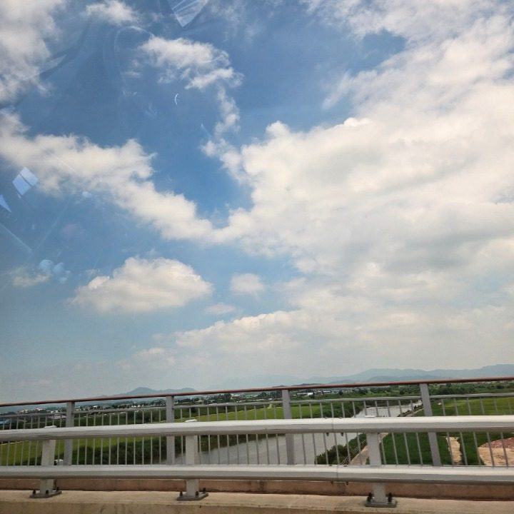 꽈배기