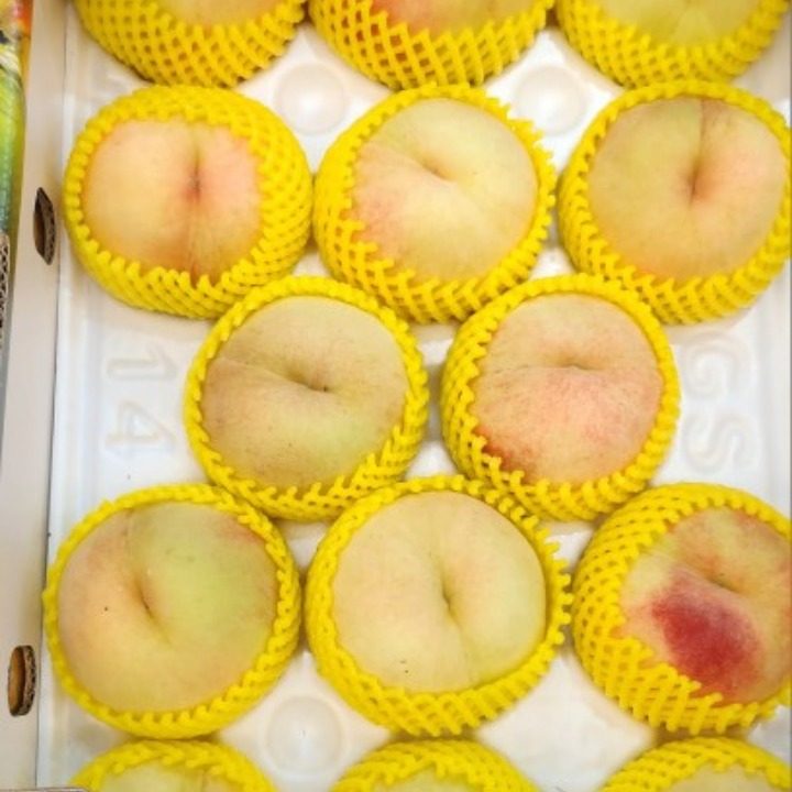 으뜸이상회