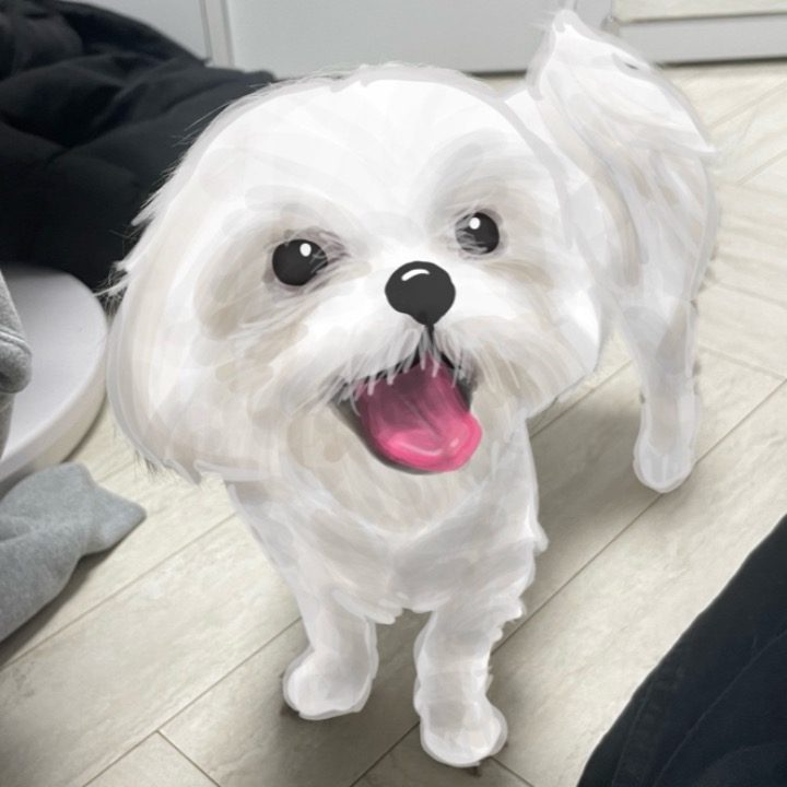 김찬울