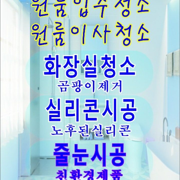 화장실청소전문업체