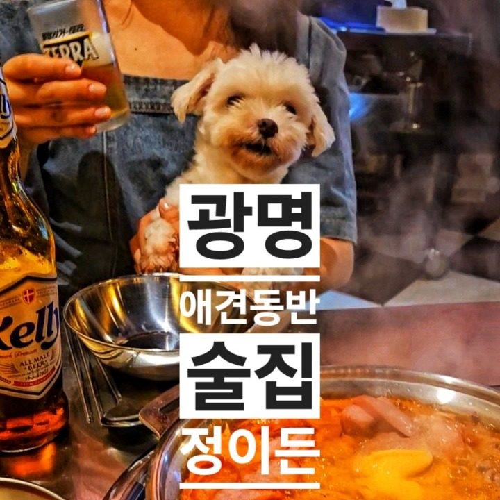 광명애견동반술집 정이든 찌개&포차