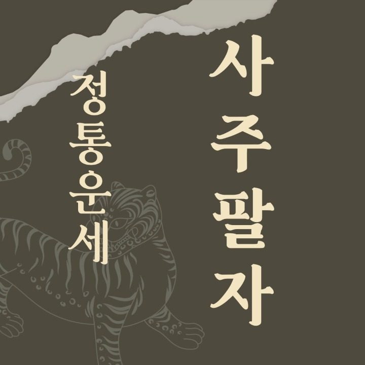 사주명리관