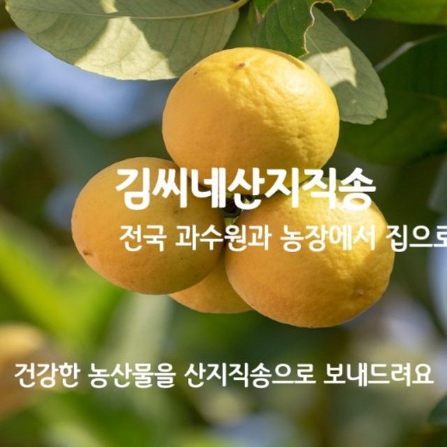 김씨네산지직송