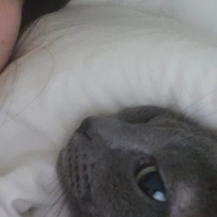 릴워크스