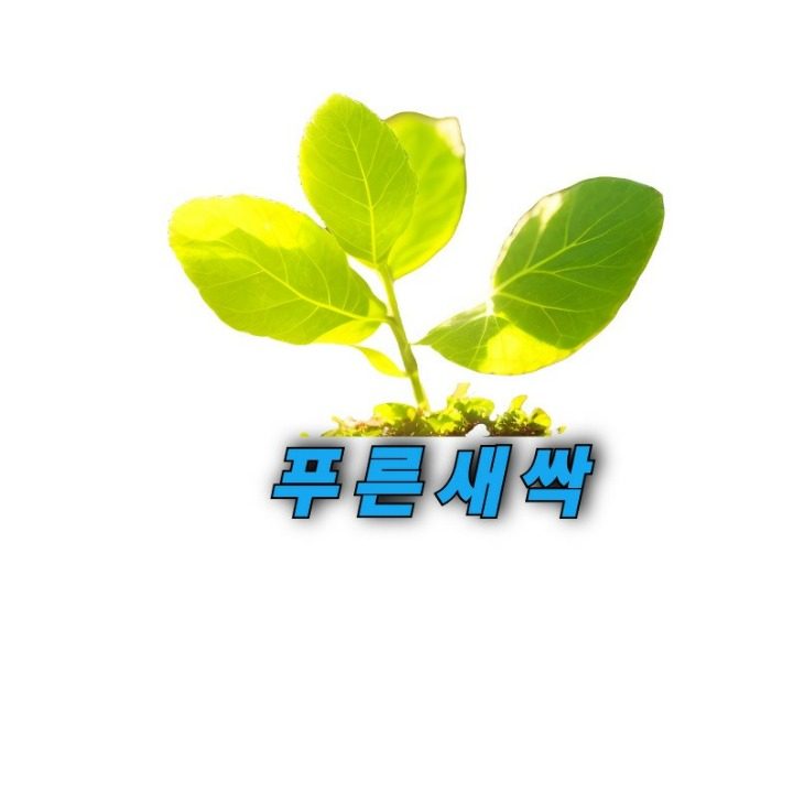 피제이쥐인터네셔널