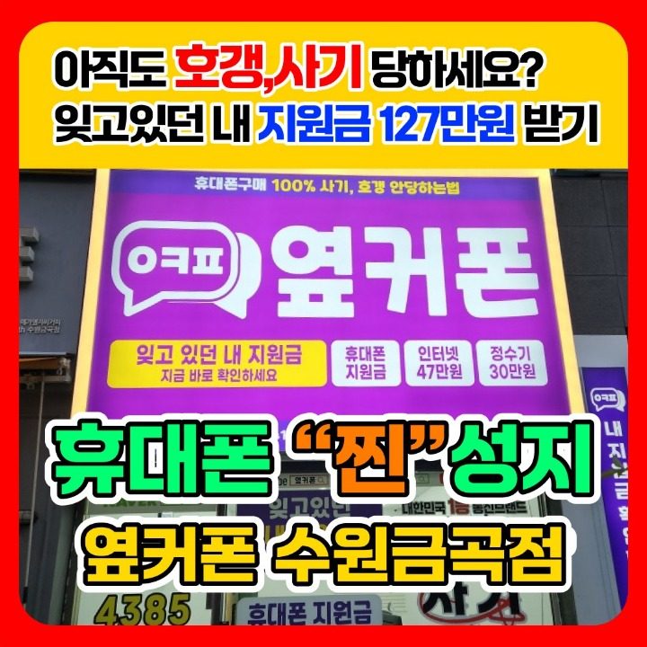 휴대폰성지 옆커폰 금곡점