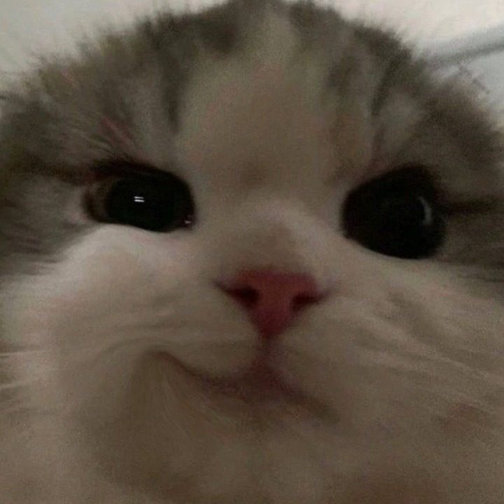 제너럴셀러