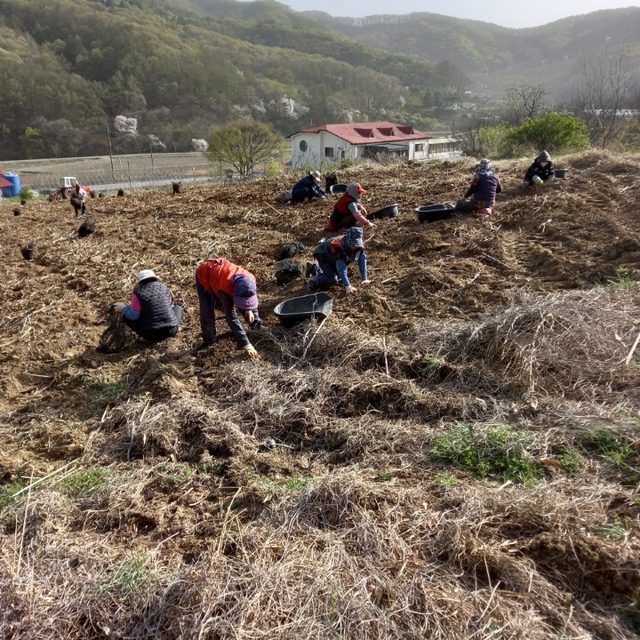 산초식품