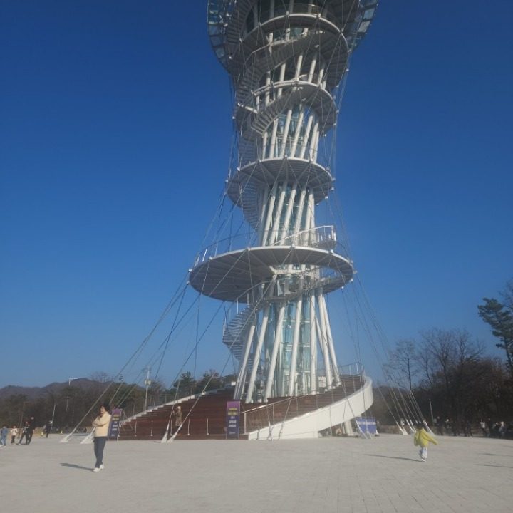 곤용달