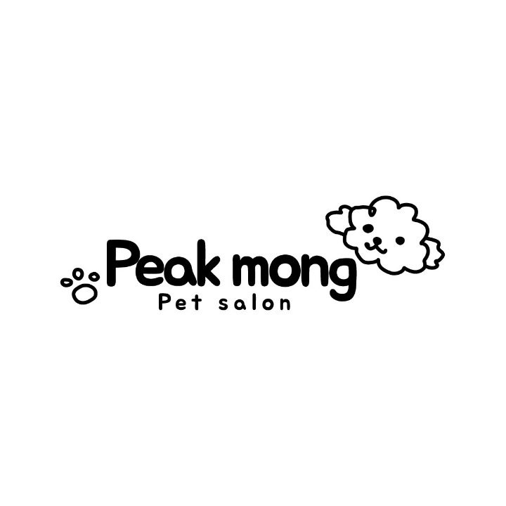 피크몽 Peakmong