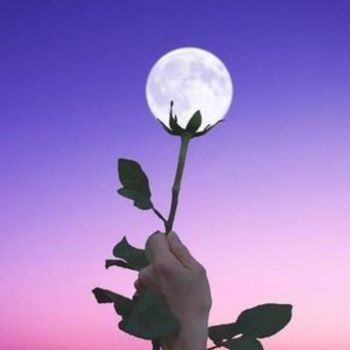 김해머신