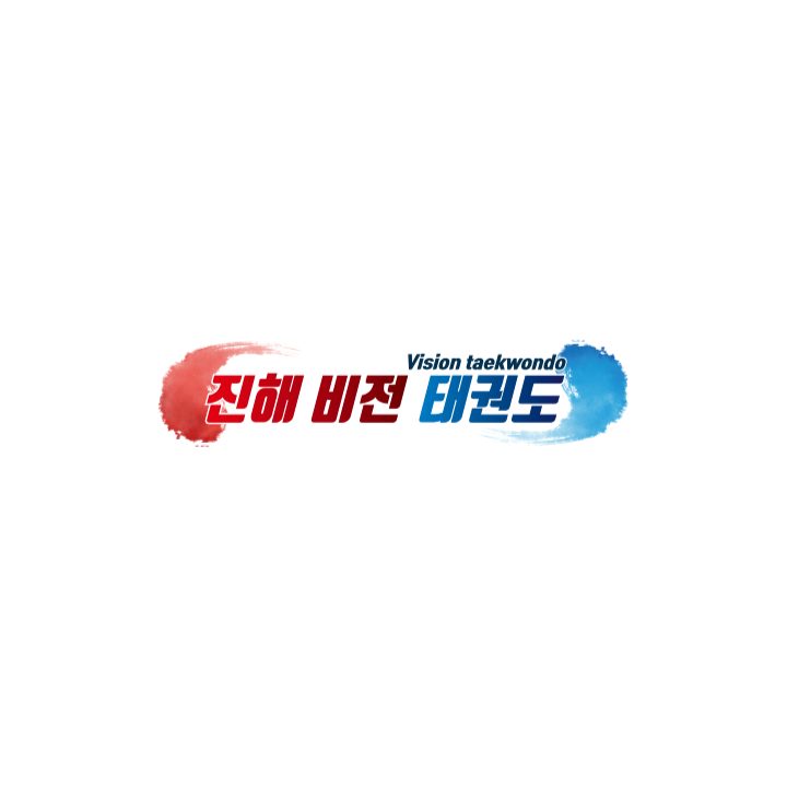 진해비전태권도