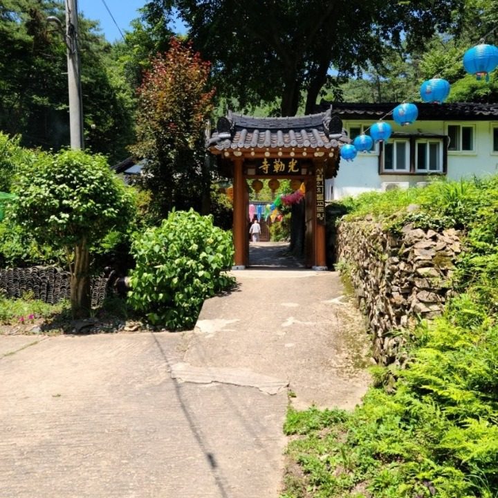 갈말자비