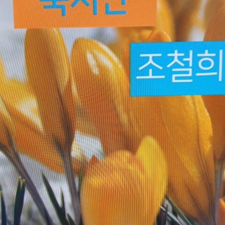 조철희 작가 유튜버