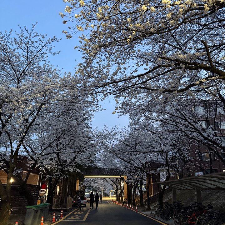 카이스트 수과학 과외