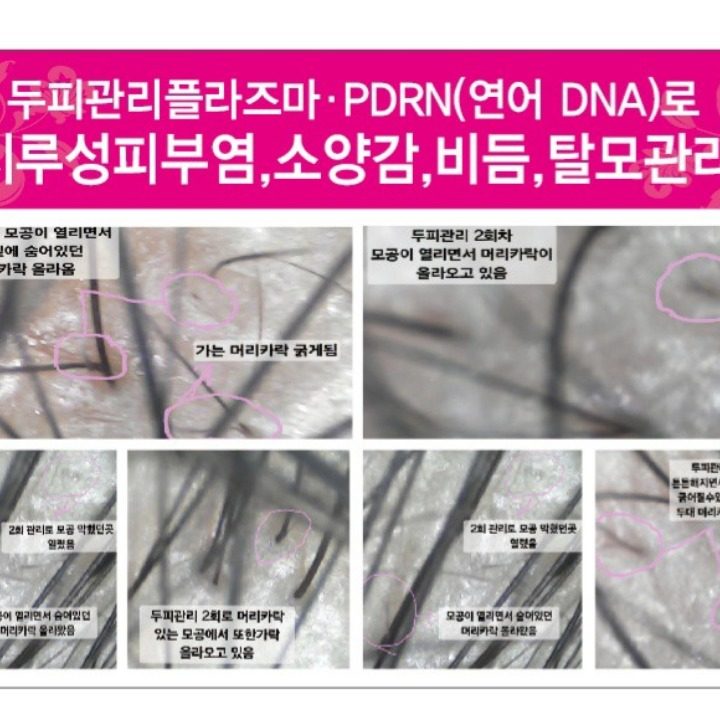 티나헤어