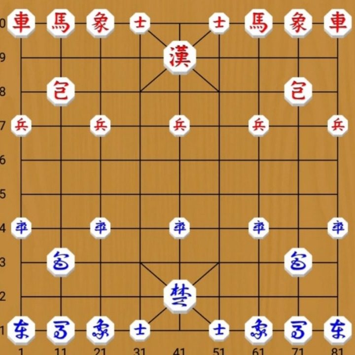 장기말