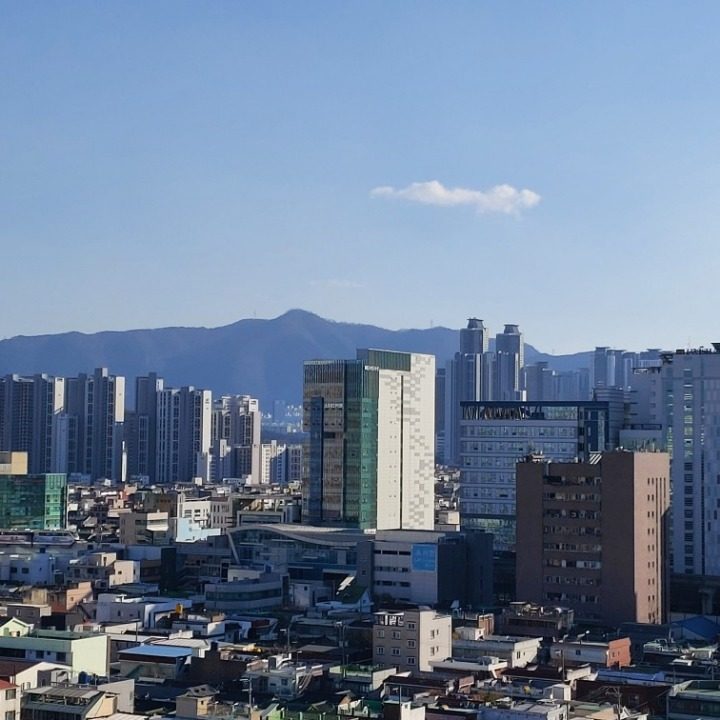 초이스수학과외